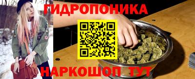 шишки Краснодар