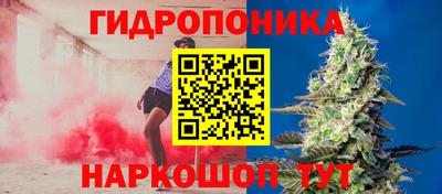 прущие грибы Краснокаменск