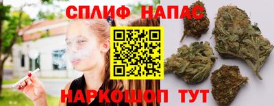 прущие грибы Краснокаменск