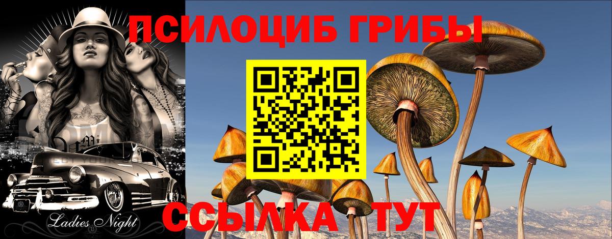 Псилоцибиновые грибы Psilocybine cubensis Урюпинск