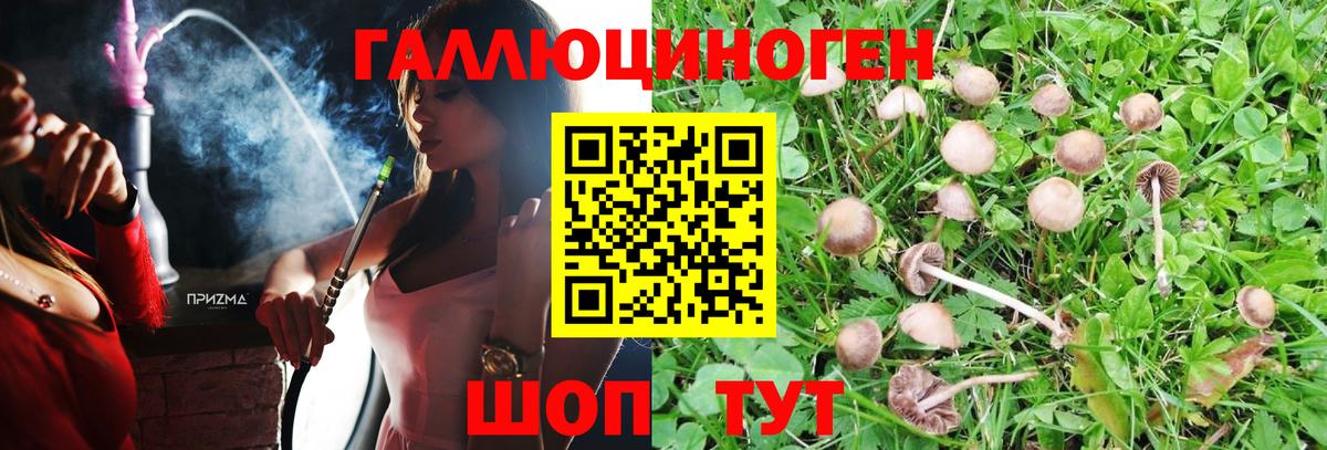 Галлюциногенные грибы MAGIC MUSHROOMS  Вход с VPN  как найти наркотики  Урюпинск 